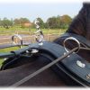 Friesian Harness 2