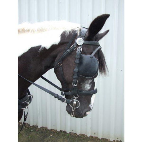 Hartland Hi-Tech Bridle-679