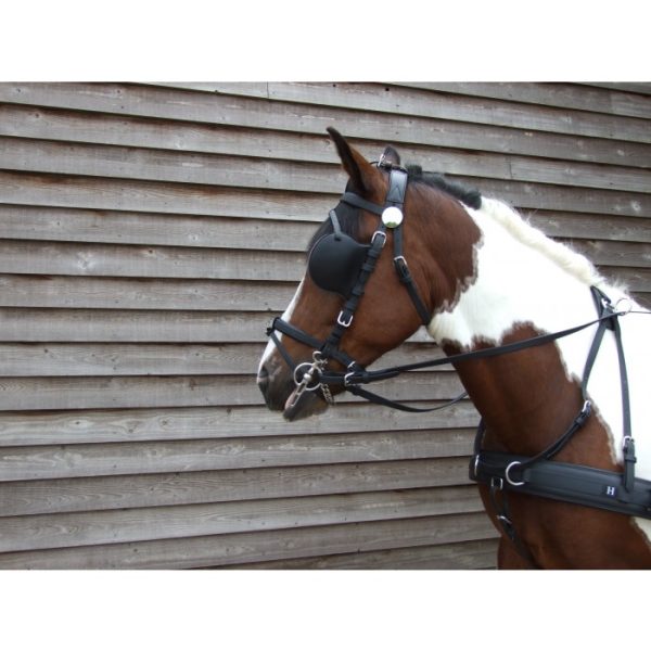 Hartland Hi-Tech Bridle-678