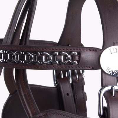 Oil-pull-up-Brown-bridle-detail