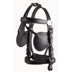 Ideal LeatherTech bridle-716