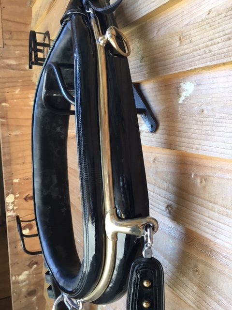 for sale: VAN der Wiel Harness Horses