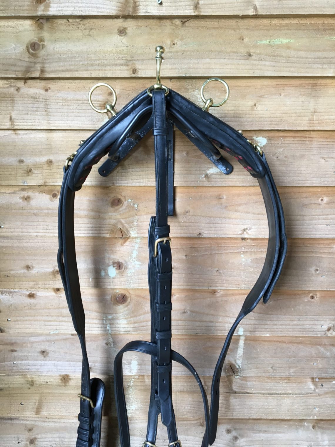 for sale: VAN der Wiel Harness Horses