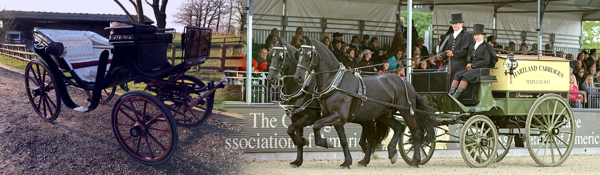 Competition Carriage Driving On A Shoestring By Jinny Johnson