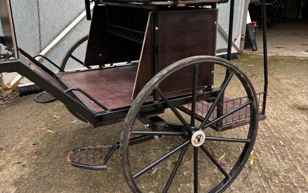 Used Bellcrown 2 Wheeler