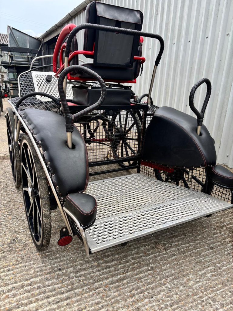 528631497_1383613906825752_364899021765740171_n-768x1024 HARTLAND TIGER SUPER QUICK PONY PAIR CARRIAGE