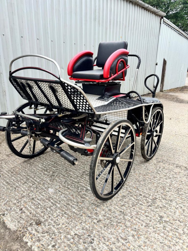 529578606_1383613513492458_8641336062965793550_n-768x1024 HARTLAND TIGER SUPER QUICK PONY PAIR CARRIAGE