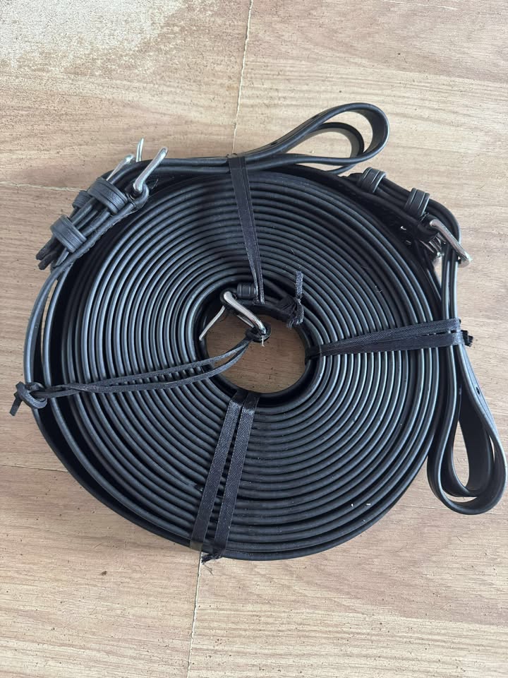 553065220_756727727193527_4829138639636838091_n Team Leader Reins - £100+VAT