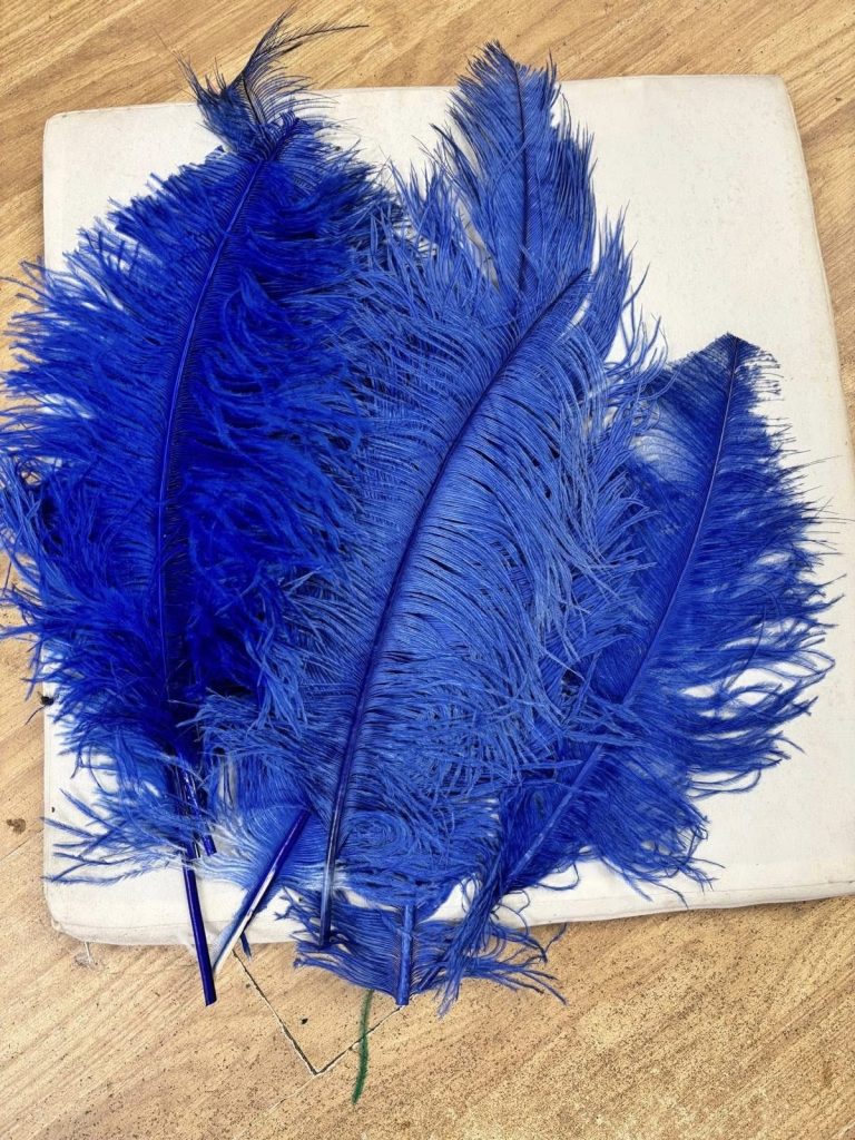 571284017_1460184702502005_455024218046199363_n-768x1024 PLUME FEATHERS