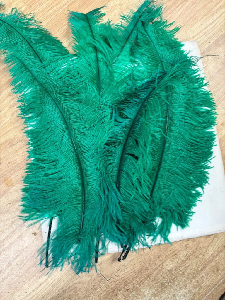 571342364_1460184465835362_1042072804899124549_n-768x1024 PLUME FEATHERS