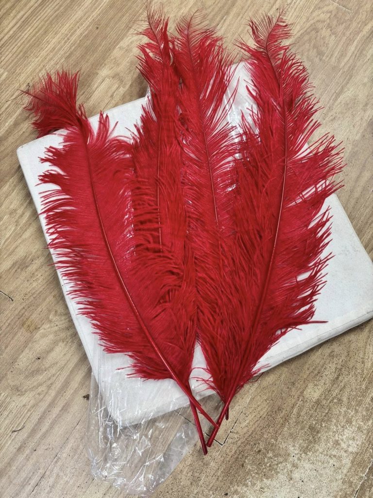 571412388_1460184629168679_7354397199798319167_n-768x1024 PLUME FEATHERS