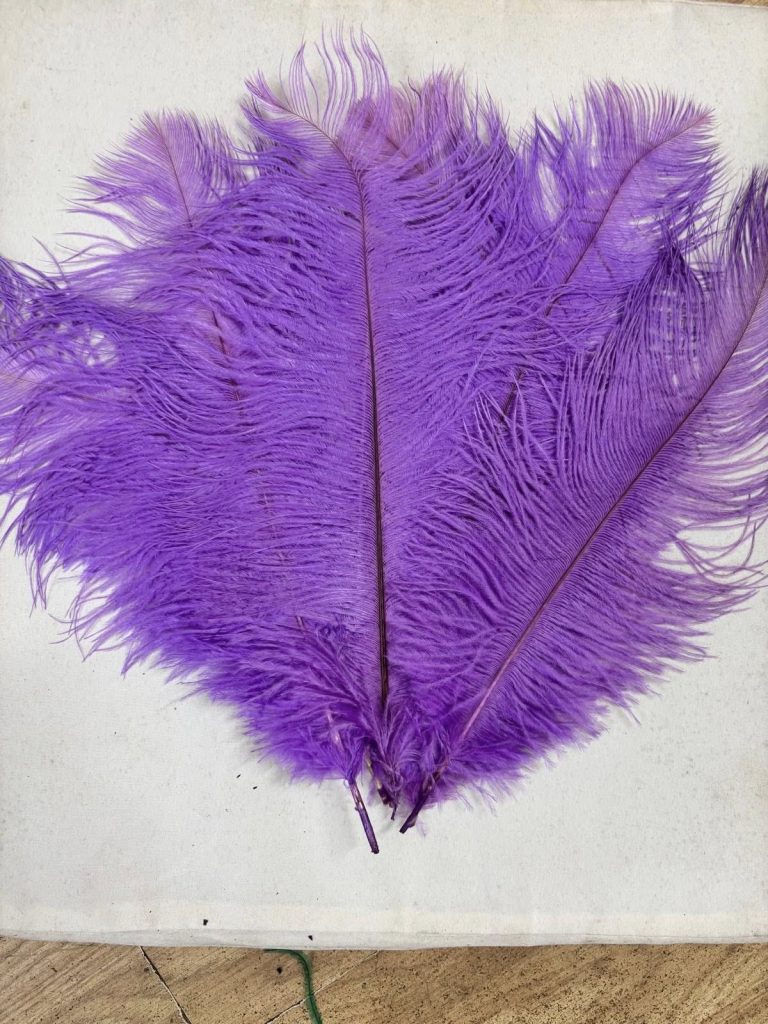 572166089_1460184332502042_8864559850625586909_n-768x1024 PLUME FEATHERS