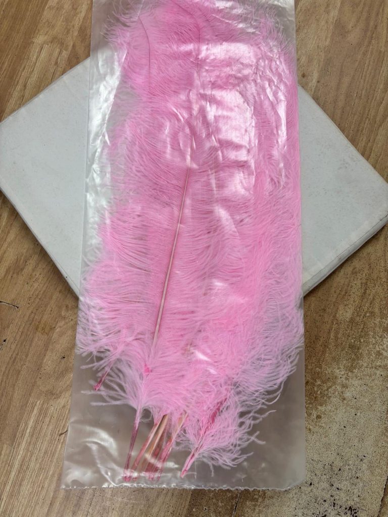 572264480_1460184345835374_7033491942061129731_n-768x1024 PLUME FEATHERS