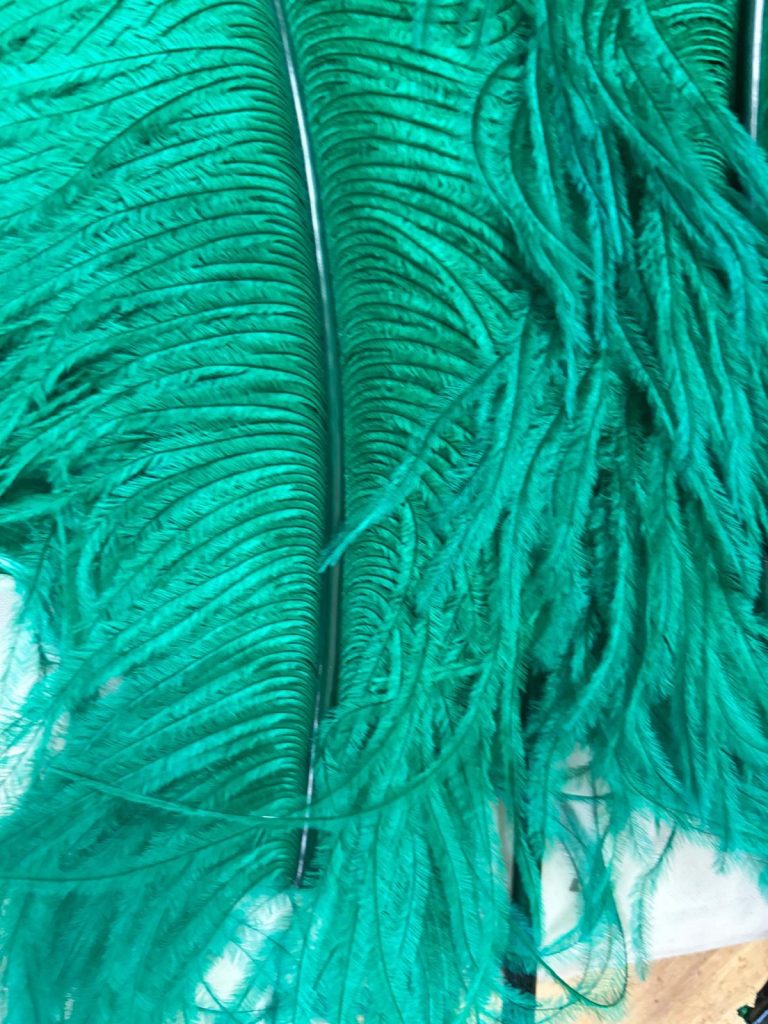 572286361_1460184479168694_1629524727931423111_n-768x1024 PLUME FEATHERS