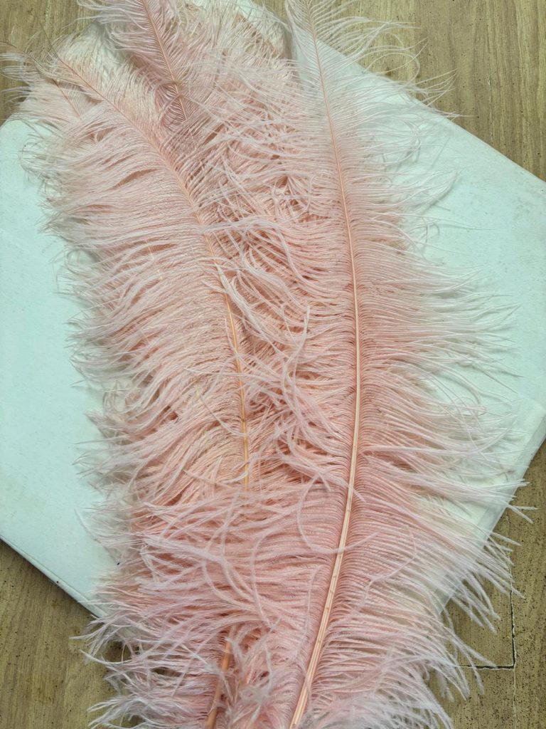 572493426_1460184322502043_31656526871988967_n-768x1024 PLUME FEATHERS