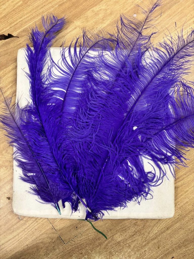 572794876_1460184995835309_4686770895041525257_n-768x1024 PLUME FEATHERS