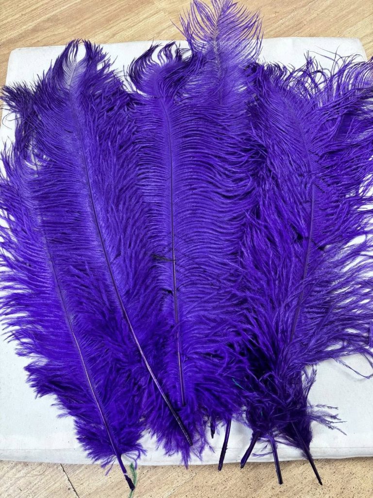 574110389_1460184962501979_6587313972529673990_n-768x1024 PLUME FEATHERS