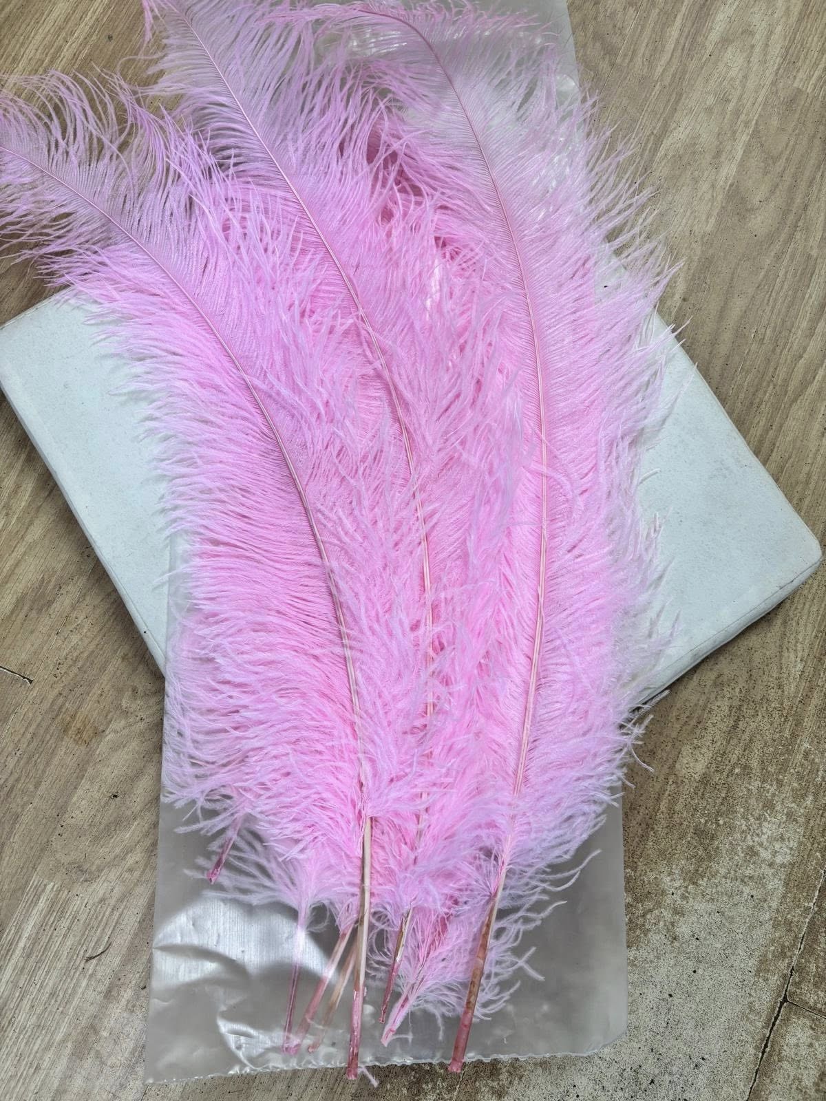 574490837_1460184772501998_8287758551830846568_n