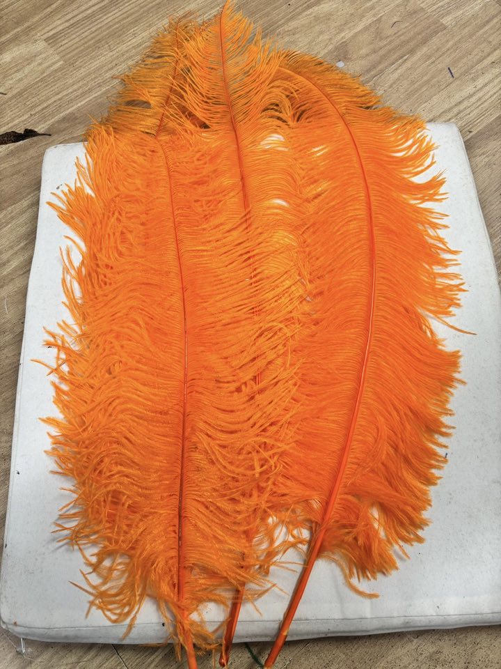 574565007_1460180772502398_4802878487302597197_n PLUME FEATHERS