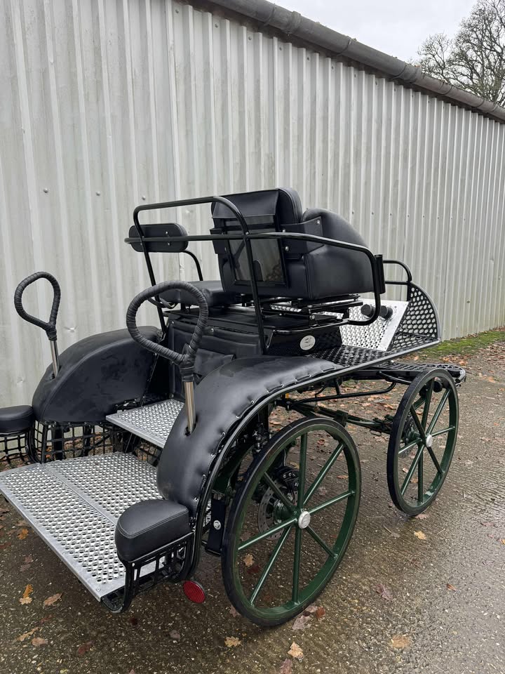 594534864_1626033708808682_1918085027326362818_n HARTLAND PONY TEAM STAR - £2500