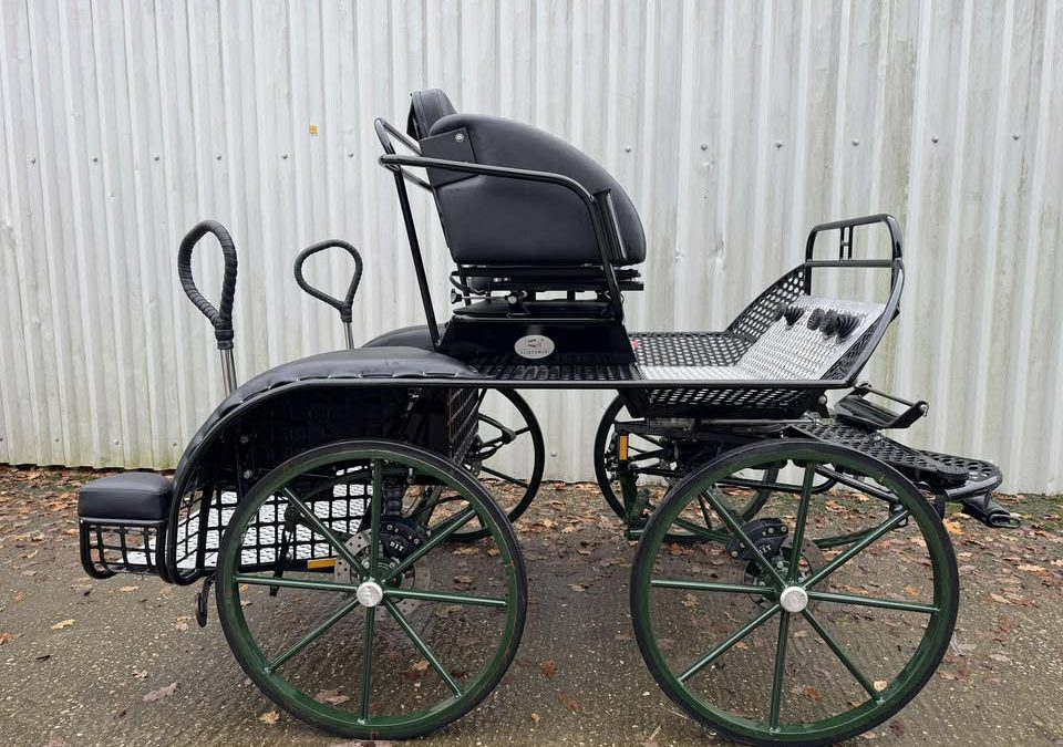 HARTLAND PONY TEAM STAR – £2500