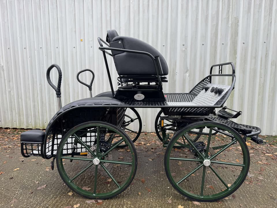 597288008_1121154999916407_3331857308722501337_n HARTLAND PONY TEAM STAR - £2500