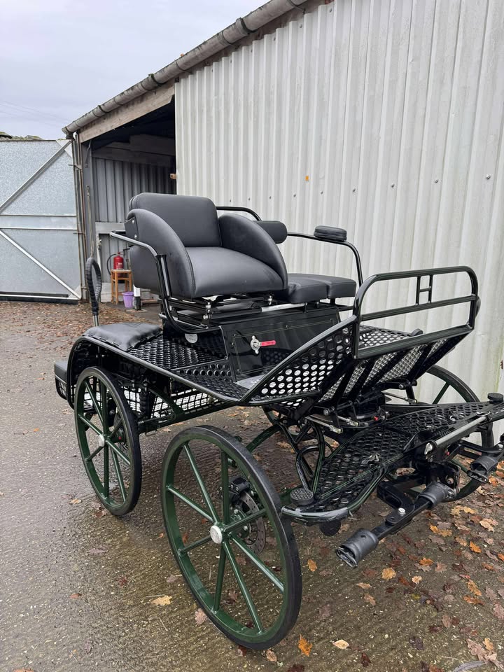 597411537_1595434441480471_268569983710246581_n HARTLAND PONY TEAM STAR - £2500
