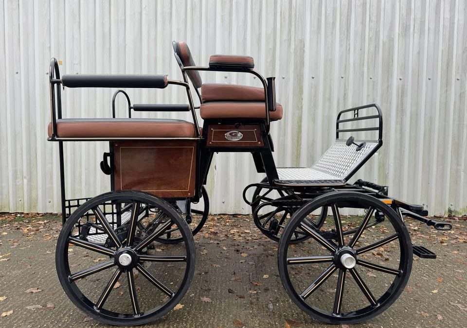 HARTLAND PLEASURESPORT COUNTRYMAN £1500 ovno