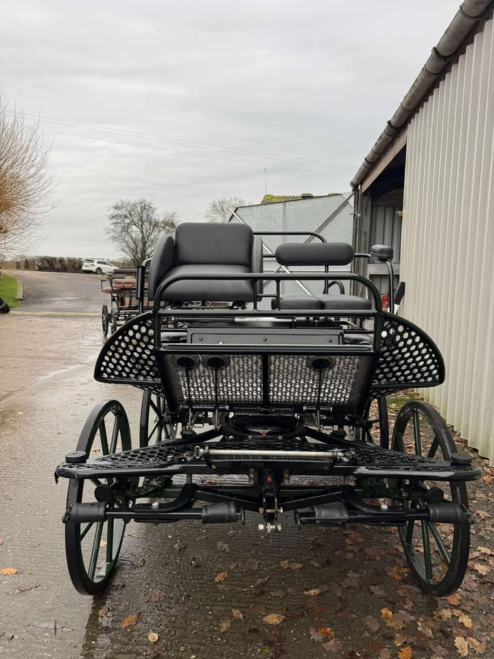 597556138_33665557809709956_5153023872096893857_n HARTLAND PONY TEAM STAR - £2500