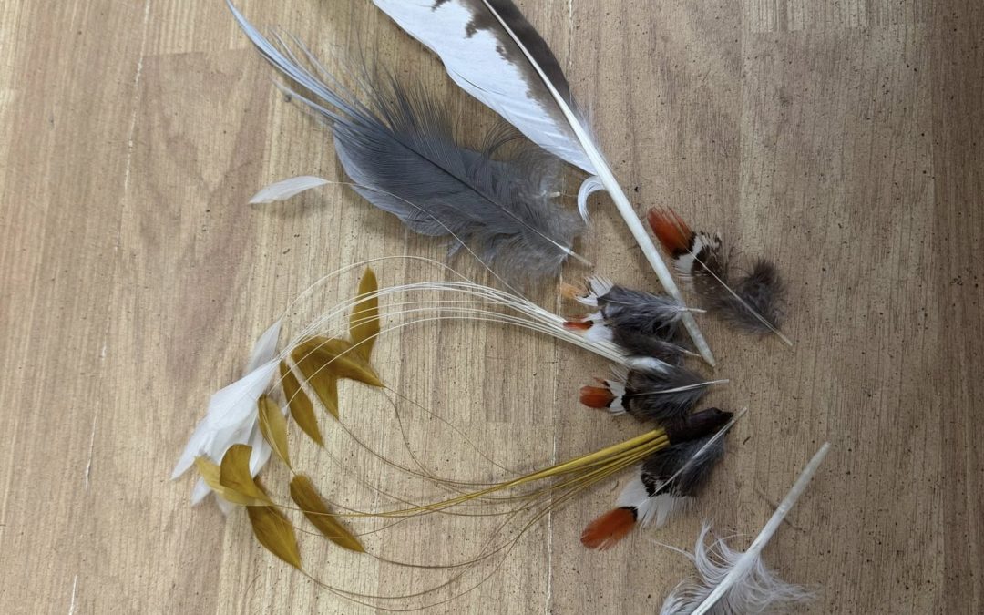 ~ Beautiful feathers to dress up your hats ~