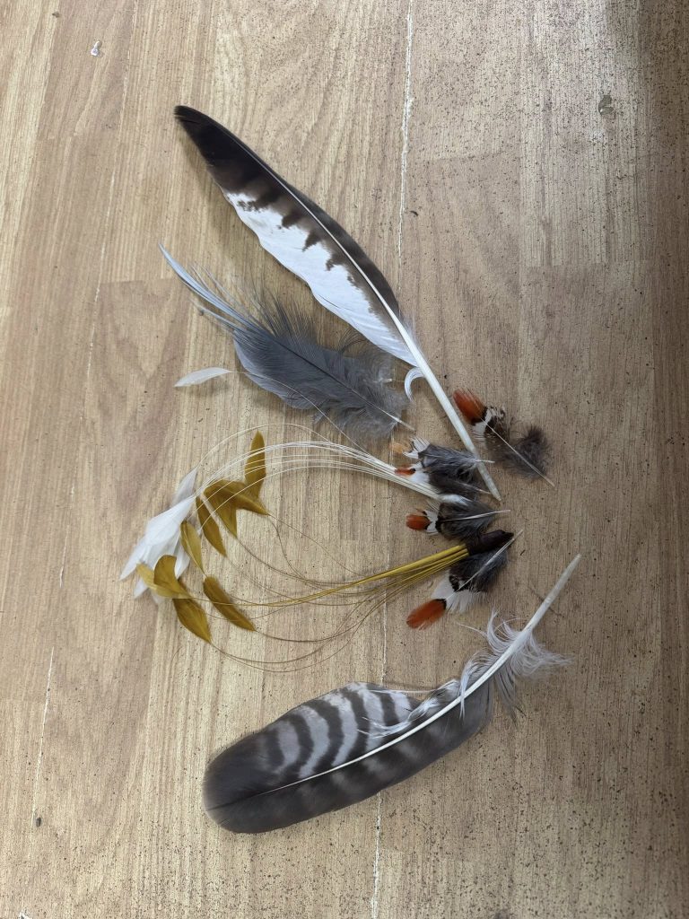 615806096_1527115345808940_3365922480114671647_n-2-768x1024 ~ Beautiful feathers to dress up your hats ~