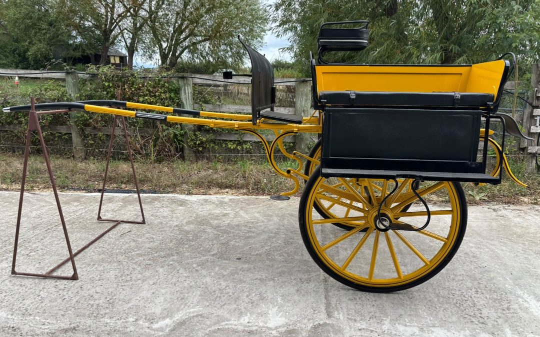 IRISH JAUNTING CART   £3250 ONO
