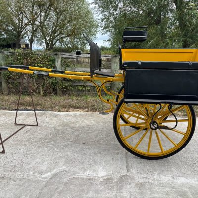 IRISH JAUNTING CART